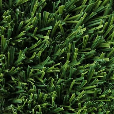 Lush Rye Golf Turf