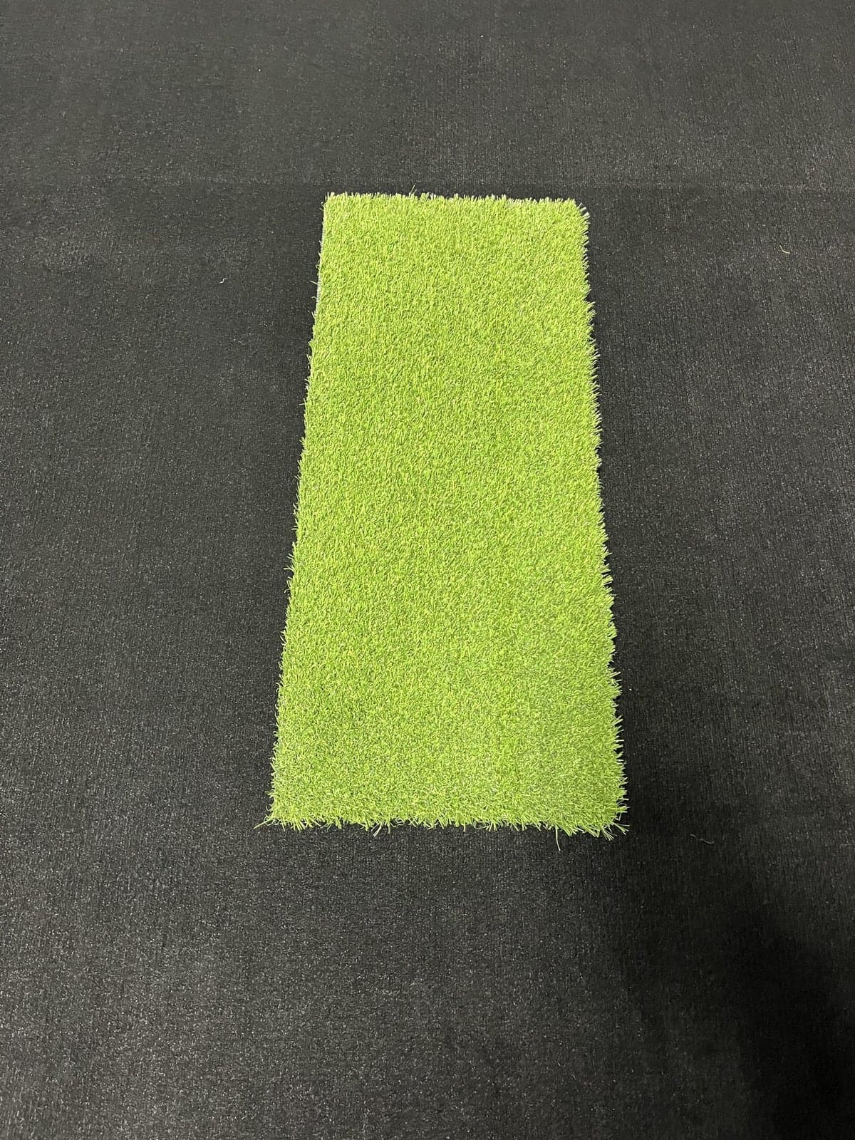 Big Moss Pure Flight hitting strip